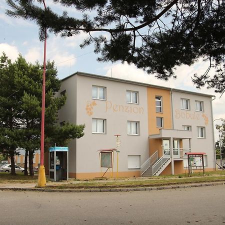 Penzion Bobule Stare Mesto  Bagian luar foto